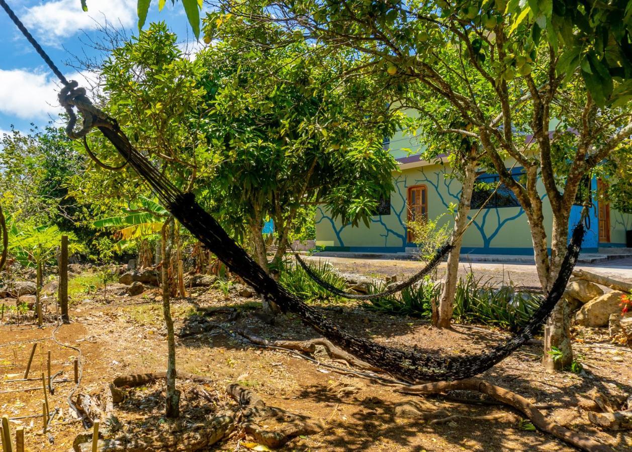 Cucuve Eco Hostal Пуэрто-Бакерисо-Морено Экстерьер фото